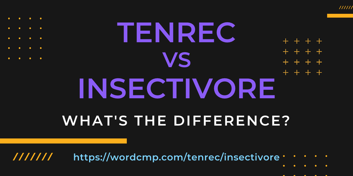 Difference between tenrec and insectivore