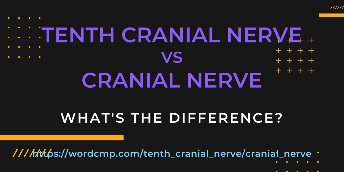 Difference between tenth cranial nerve and cranial nerve