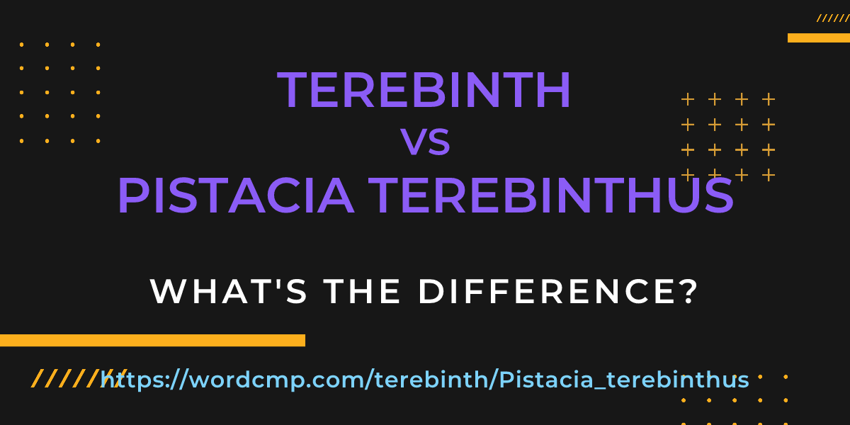 Difference between terebinth and Pistacia terebinthus