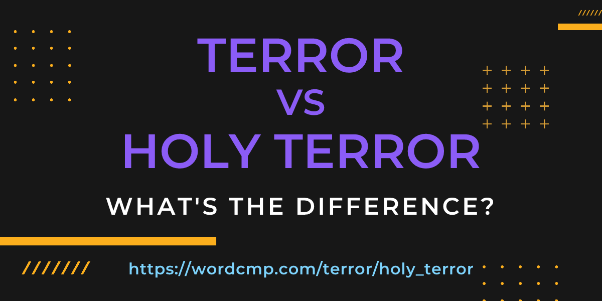 Difference between terror and holy terror