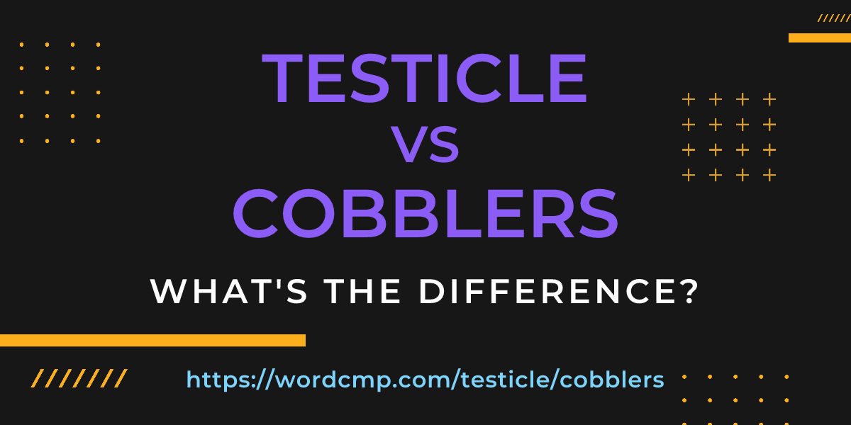 Difference between testicle and cobblers