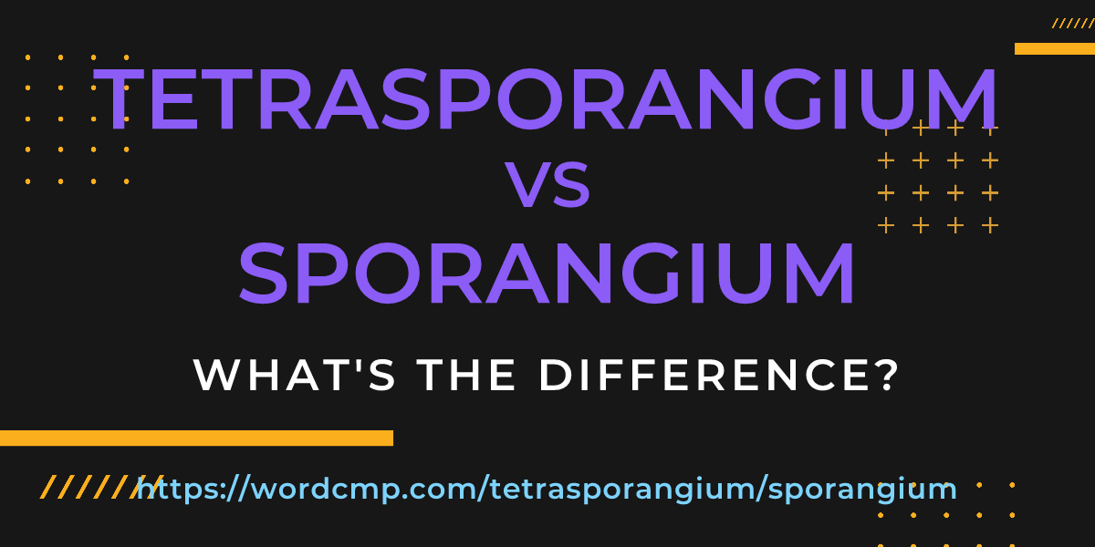 Difference between tetrasporangium and sporangium
