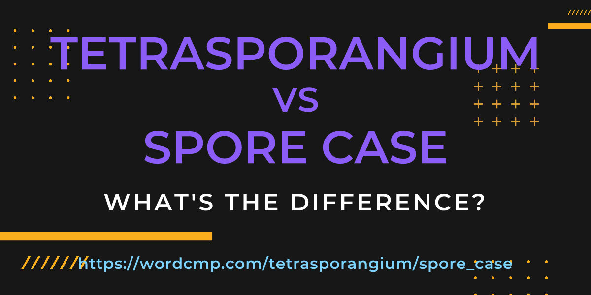 Difference between tetrasporangium and spore case