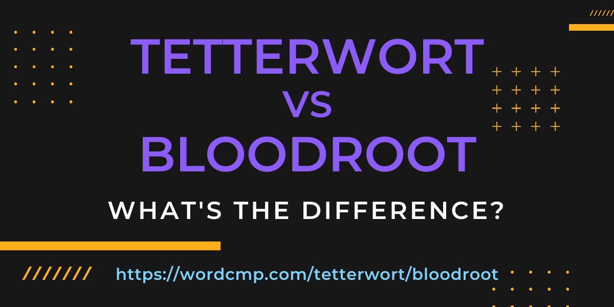 Difference between tetterwort and bloodroot