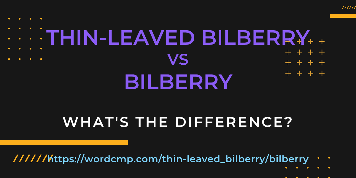 Difference between thin-leaved bilberry and bilberry