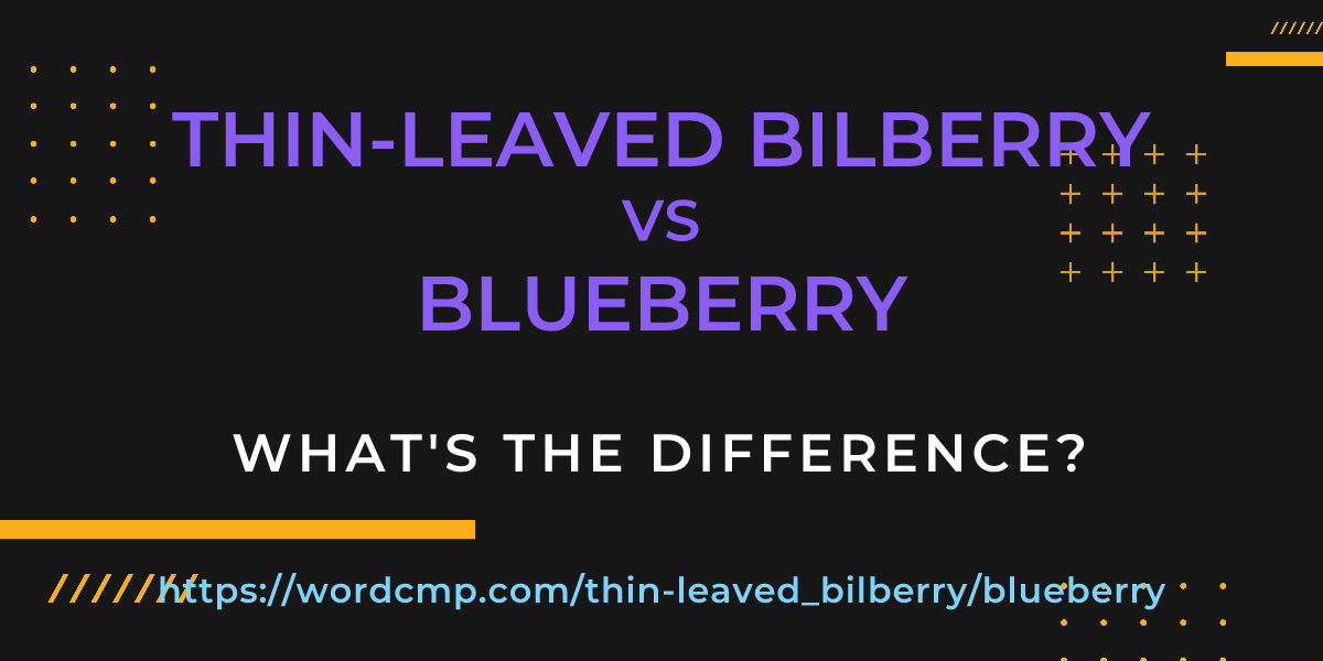 Difference between thin-leaved bilberry and blueberry