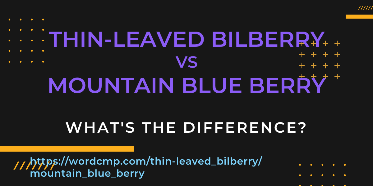 Difference between thin-leaved bilberry and mountain blue berry