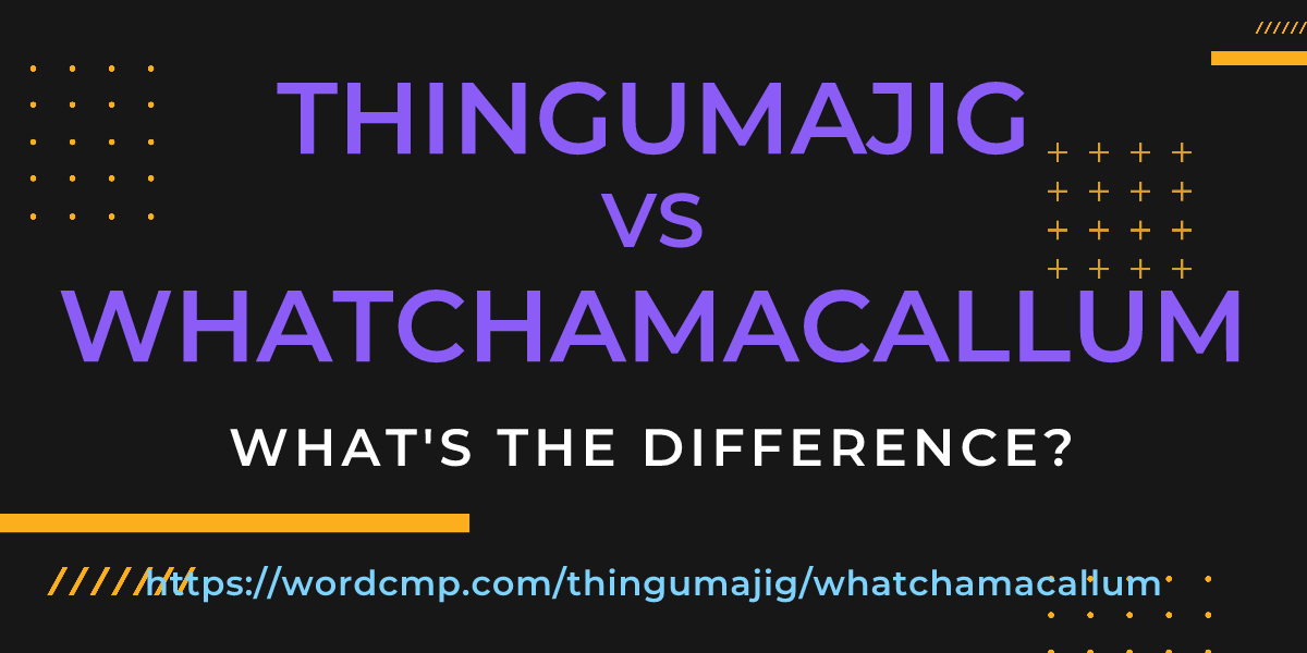 Difference between thingumajig and whatchamacallum