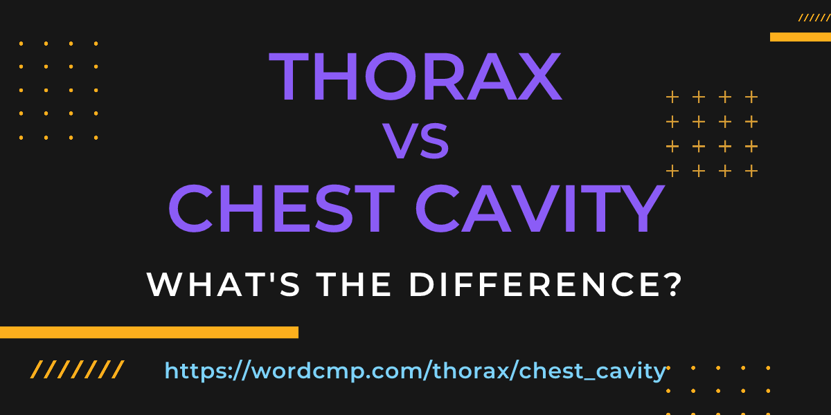 Difference between thorax and chest cavity