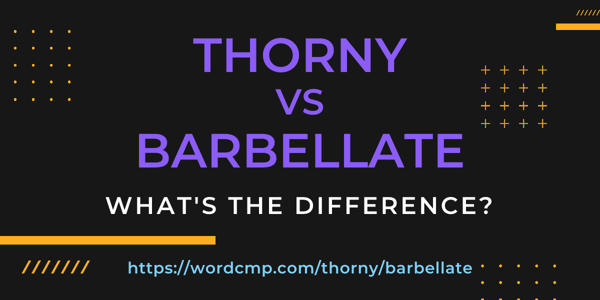 Difference between thorny and barbellate