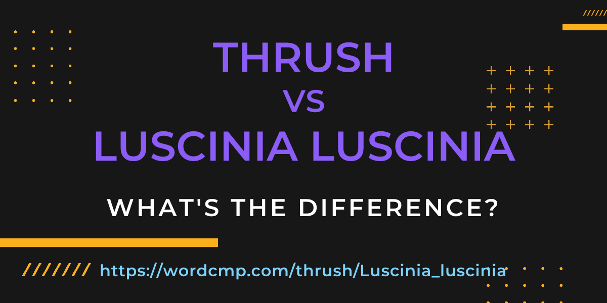 Difference between thrush and Luscinia luscinia