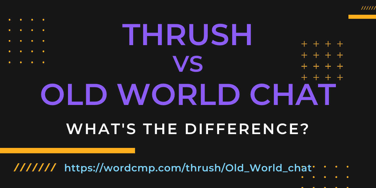 Difference between thrush and Old World chat