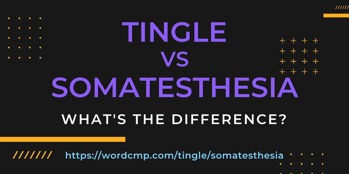 Difference between tingle and somatesthesia