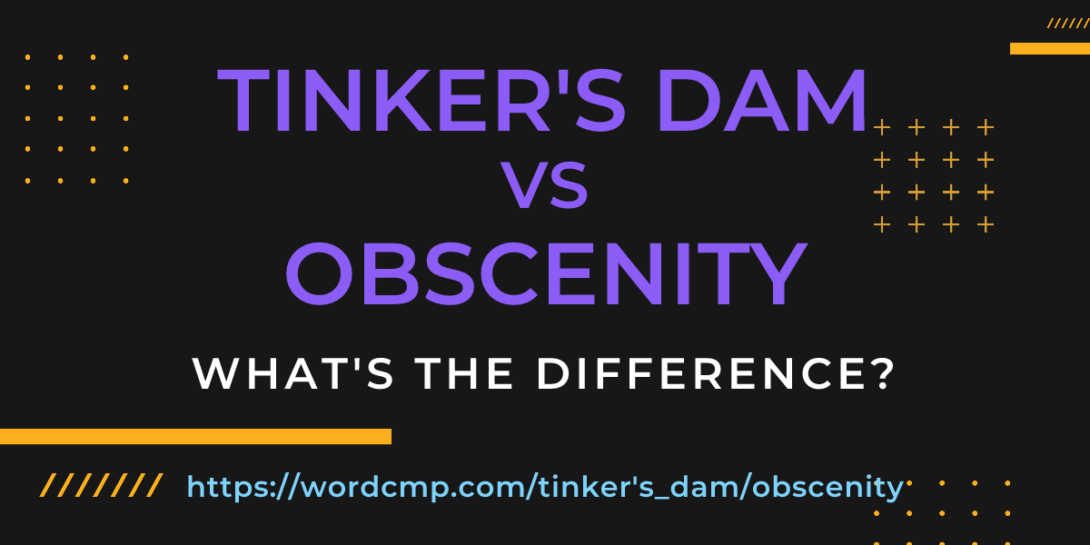 Difference between tinker's dam and obscenity