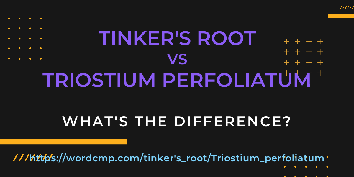 Difference between tinker's root and Triostium perfoliatum