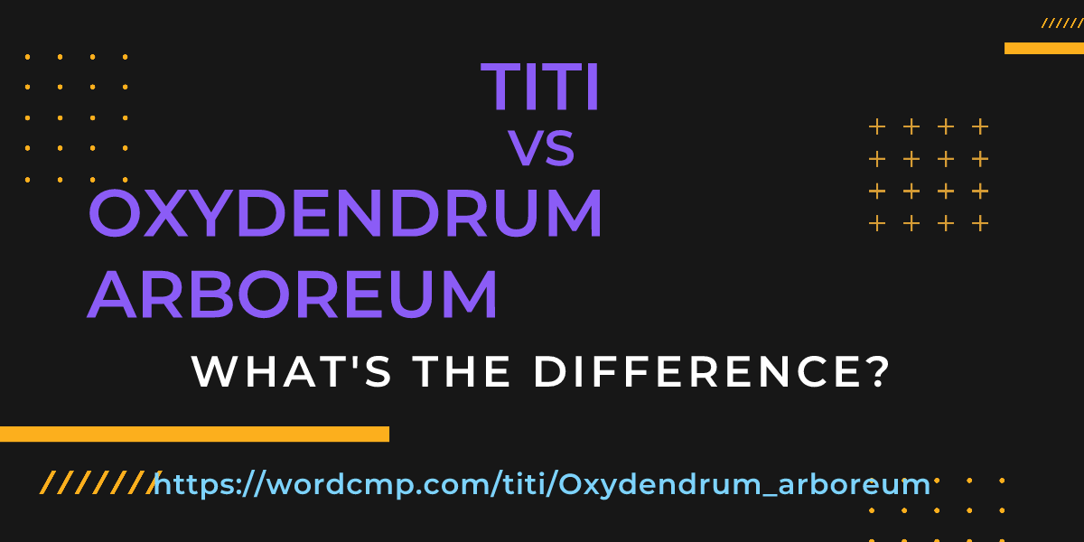 Difference between titi and Oxydendrum arboreum