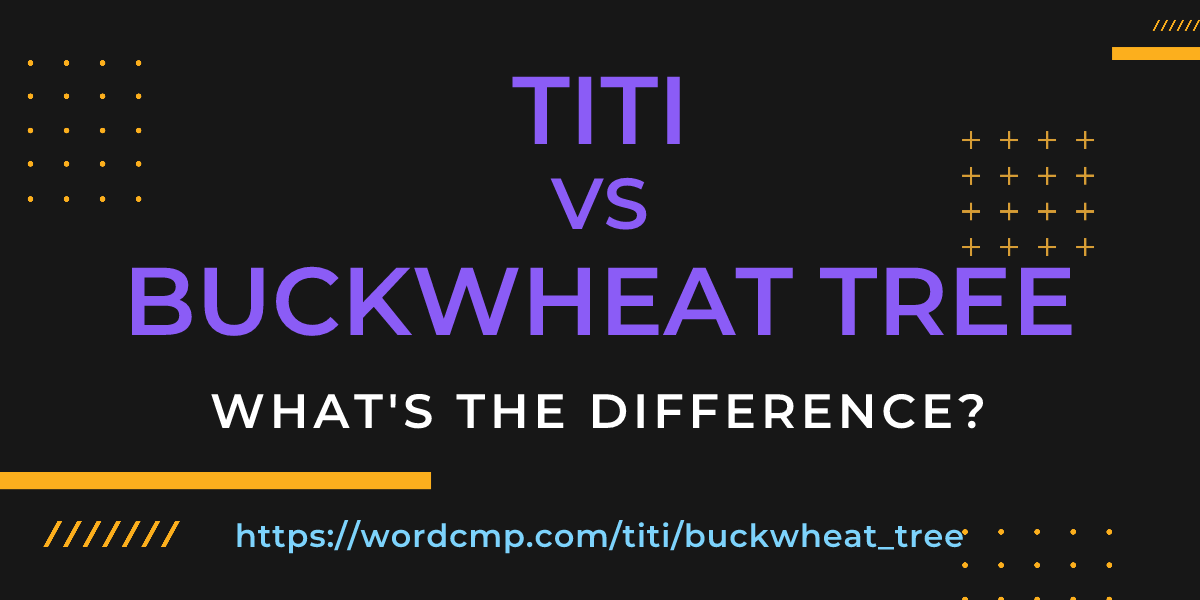 Difference between titi and buckwheat tree