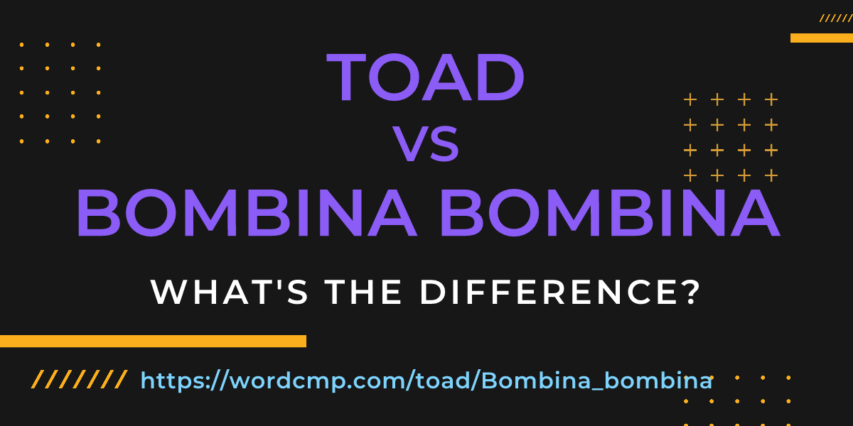 Difference between toad and Bombina bombina