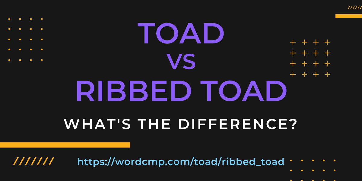 Difference between toad and ribbed toad