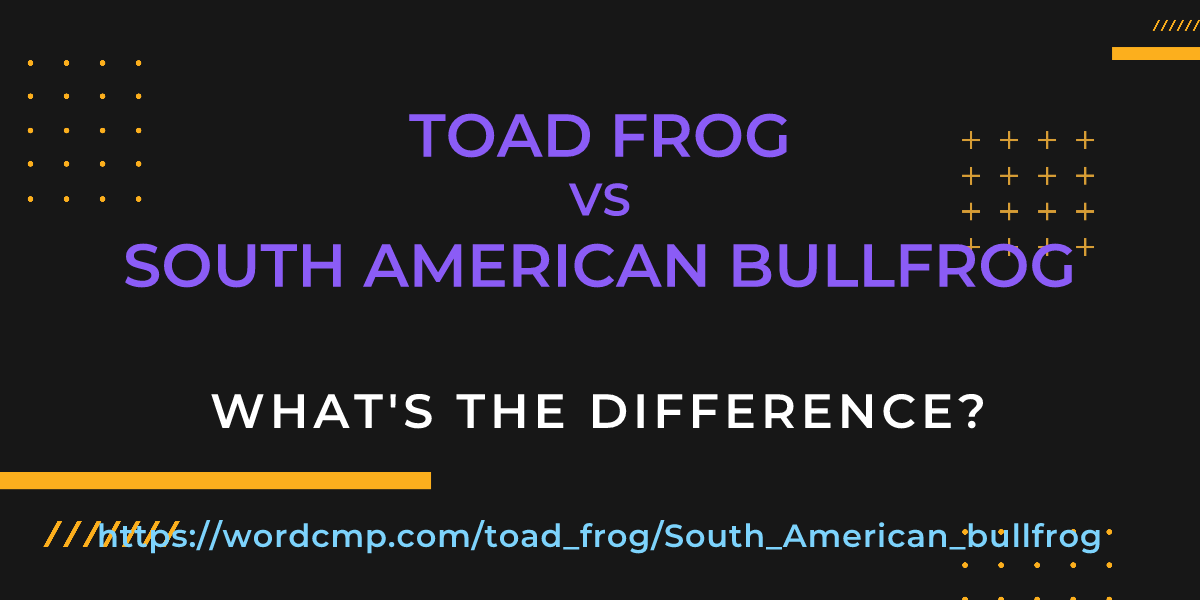 Difference between toad frog and South American bullfrog