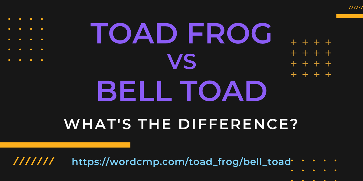 Difference between toad frog and bell toad