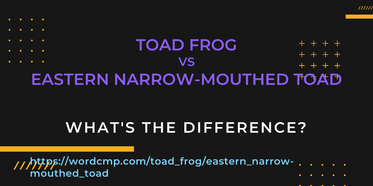 Difference between toad frog and eastern narrow-mouthed toad