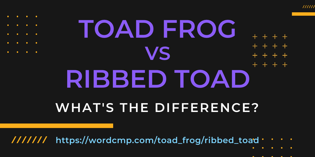 Difference between toad frog and ribbed toad