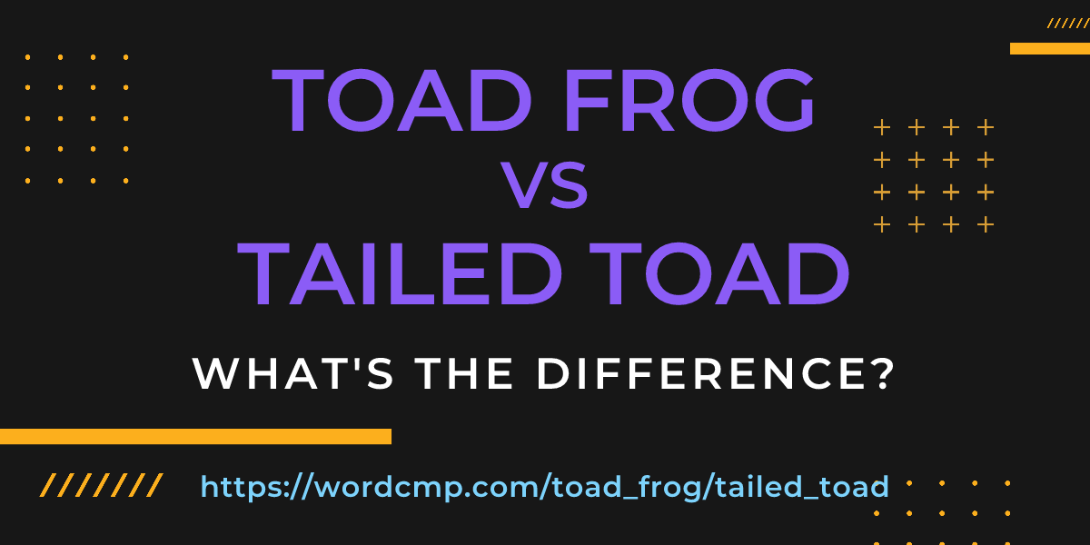 Difference between toad frog and tailed toad