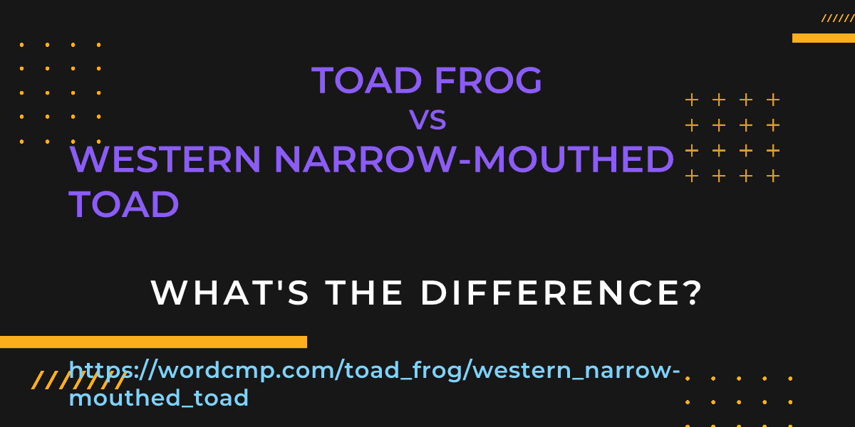 Difference between toad frog and western narrow-mouthed toad