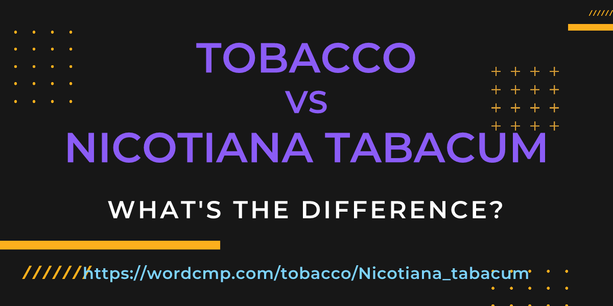 Difference between tobacco and Nicotiana tabacum