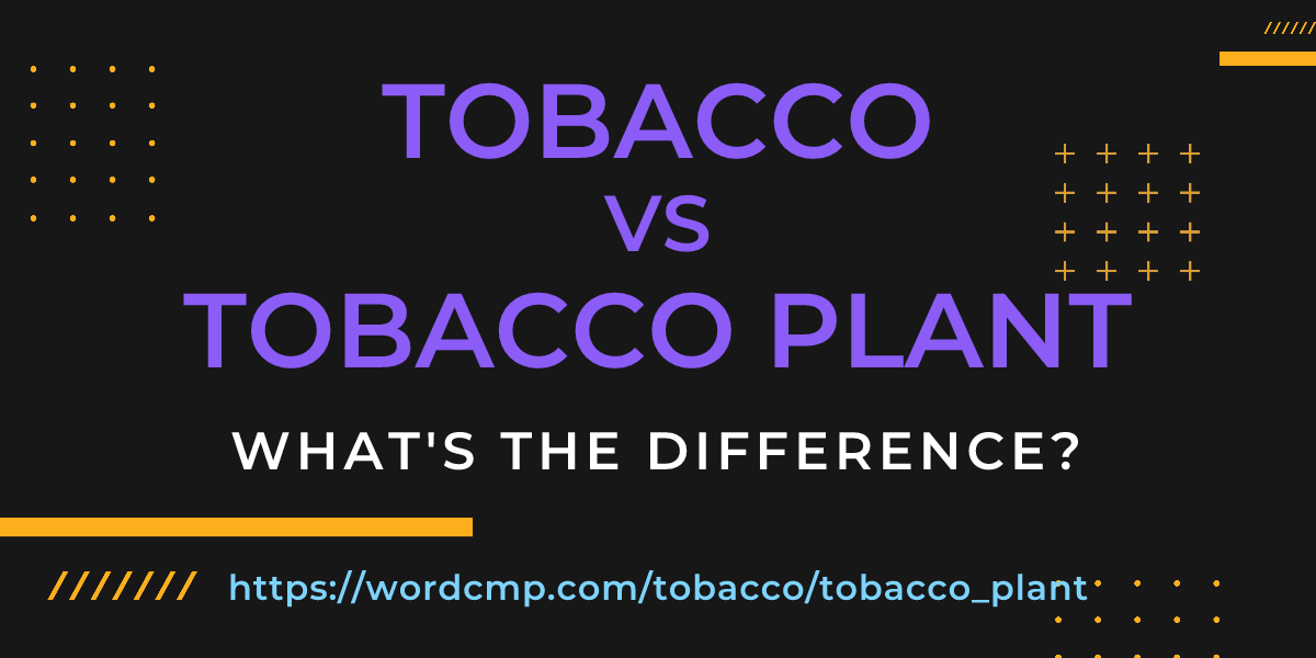 Difference between tobacco and tobacco plant