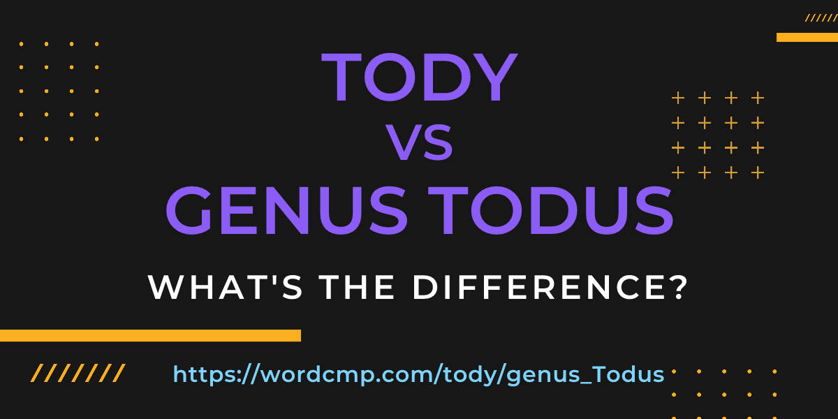 Difference between tody and genus Todus