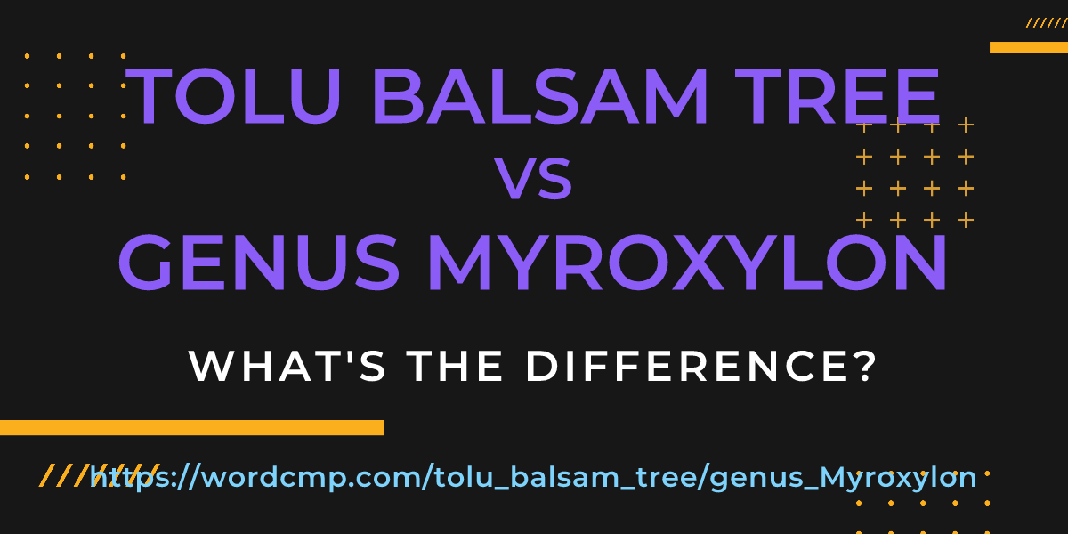 Difference between tolu balsam tree and genus Myroxylon