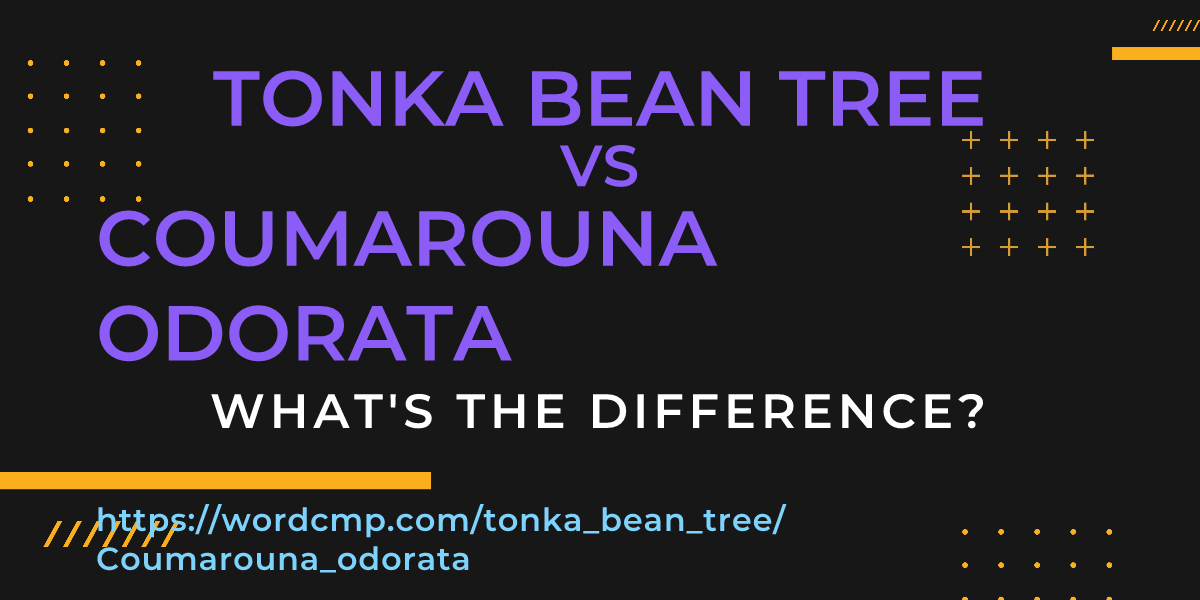 Difference between tonka bean tree and Coumarouna odorata