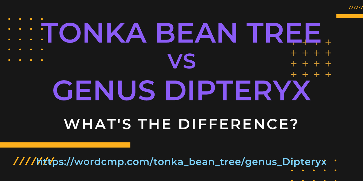 Difference between tonka bean tree and genus Dipteryx