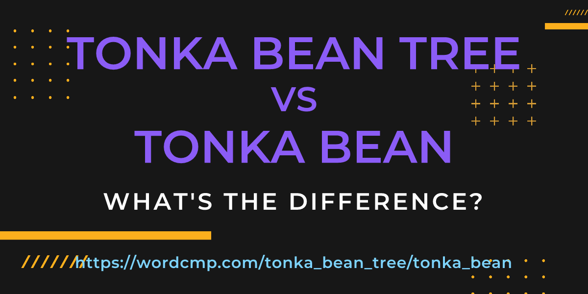 Difference between tonka bean tree and tonka bean