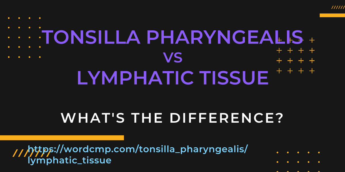 Difference between tonsilla pharyngealis and lymphatic tissue