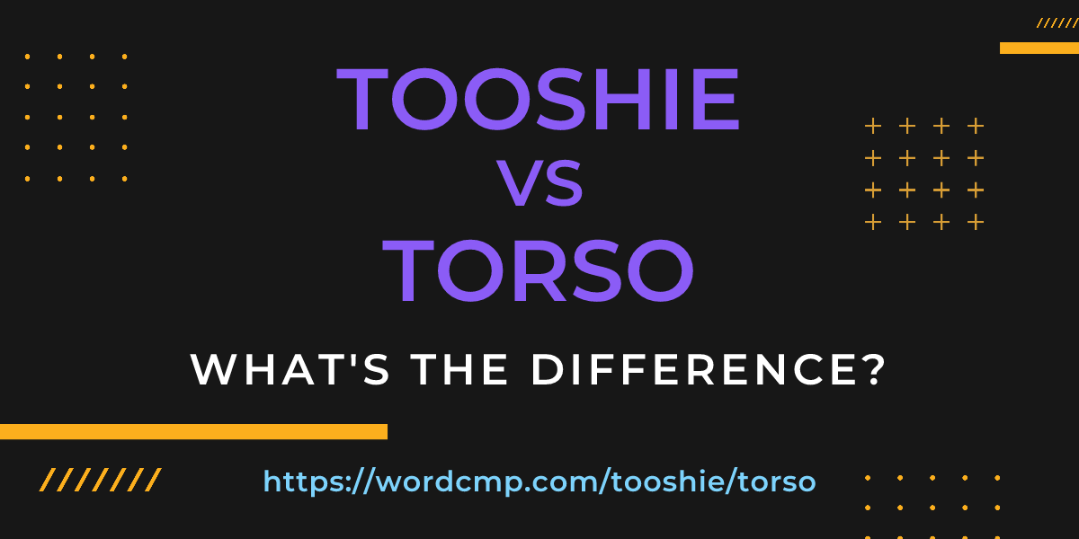 Difference between tooshie and torso