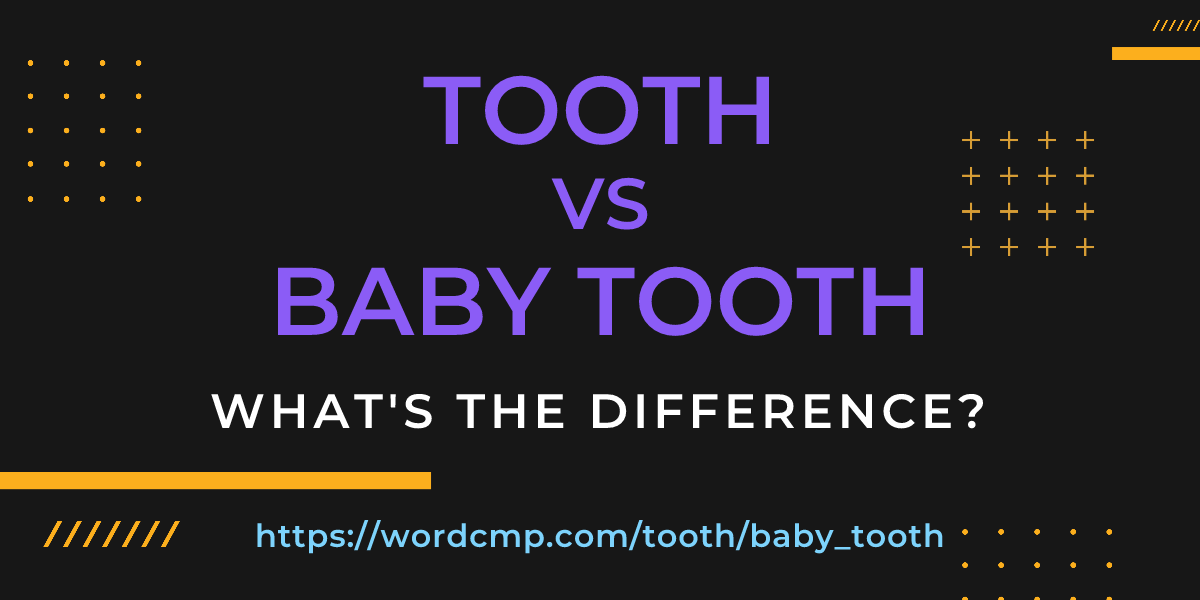 Difference between tooth and baby tooth