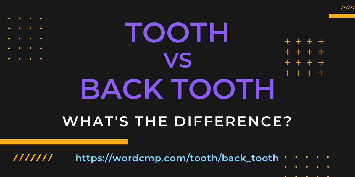 Difference between tooth and back tooth
