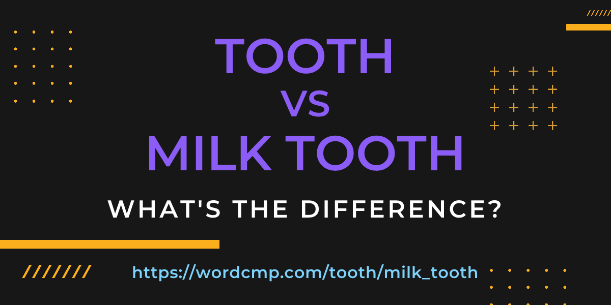 Difference between tooth and milk tooth