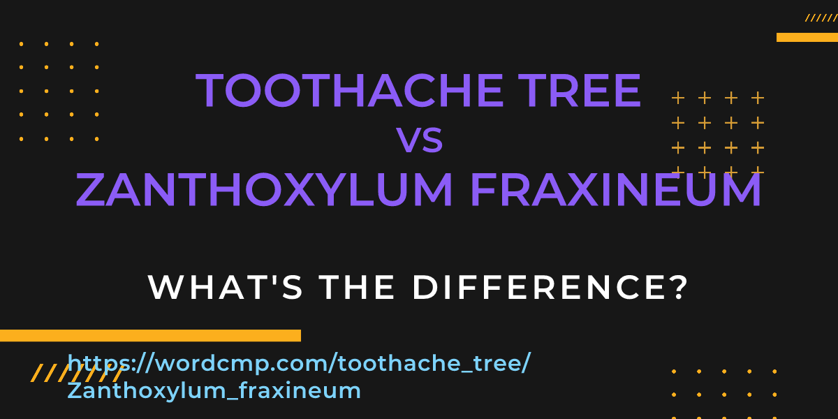 Difference between toothache tree and Zanthoxylum fraxineum