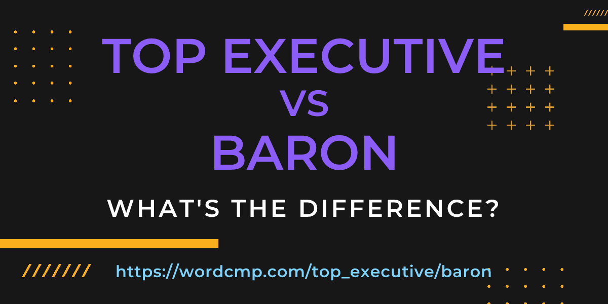 Difference between top executive and baron