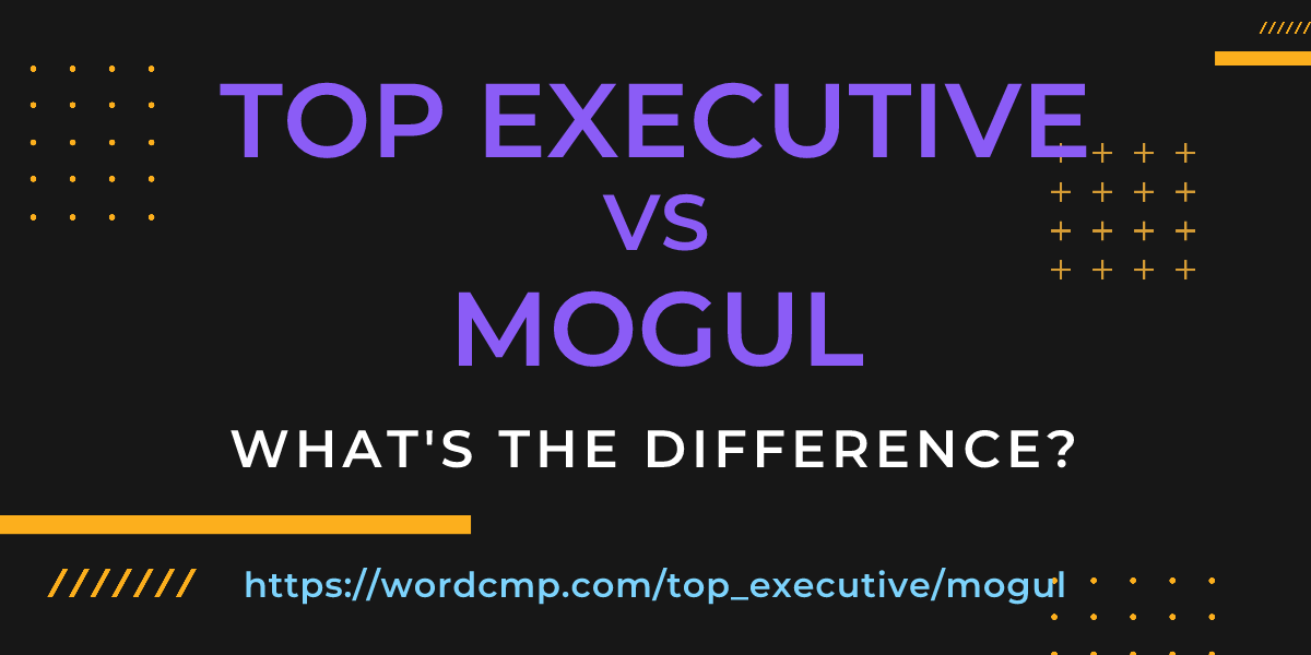 Difference between top executive and mogul
