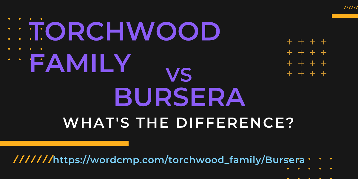 Difference between torchwood family and Bursera