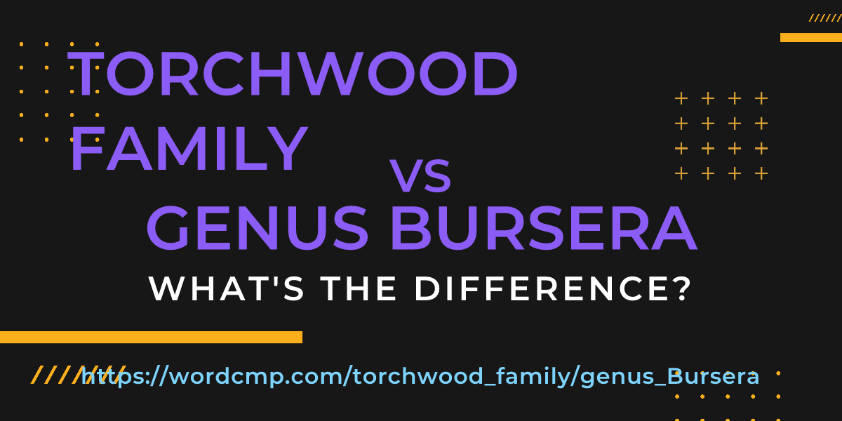Difference between torchwood family and genus Bursera