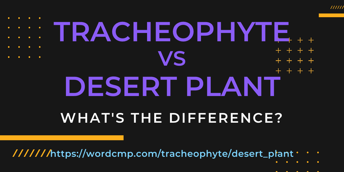 Difference between tracheophyte and desert plant