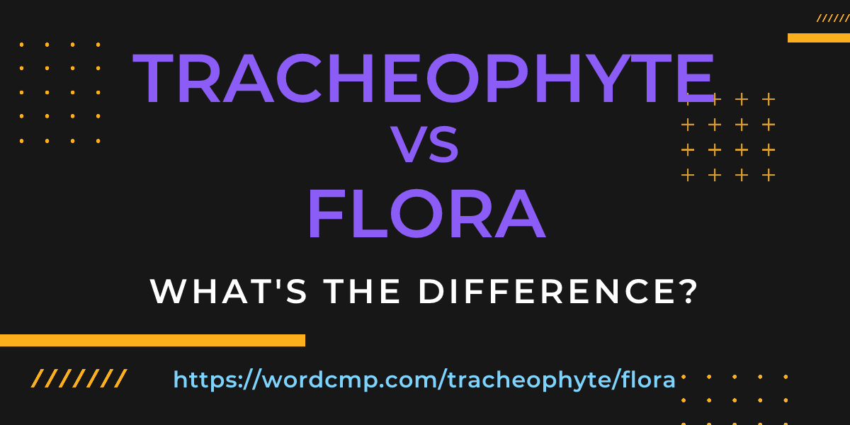 Difference between tracheophyte and flora