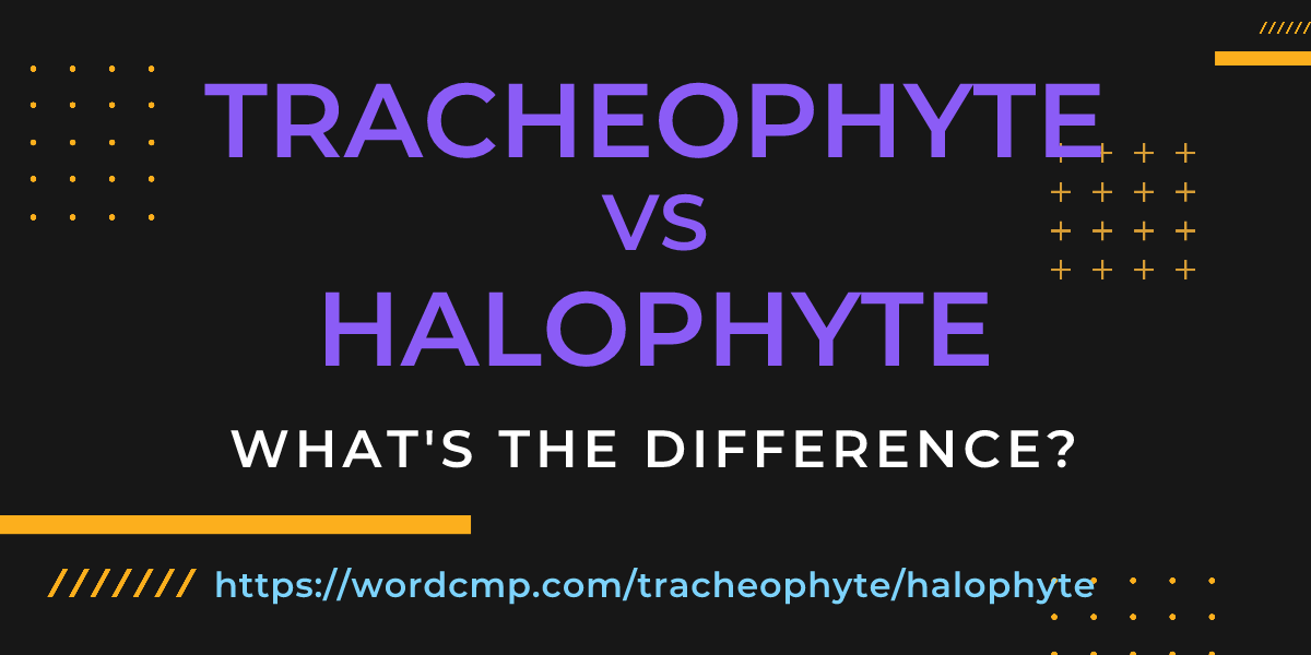 Difference between tracheophyte and halophyte