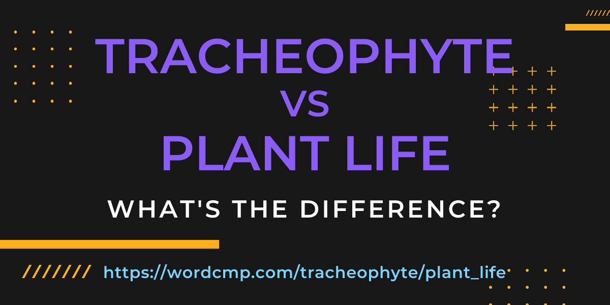 Difference between tracheophyte and plant life